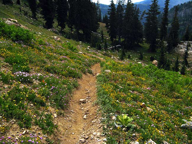 dry creek trail